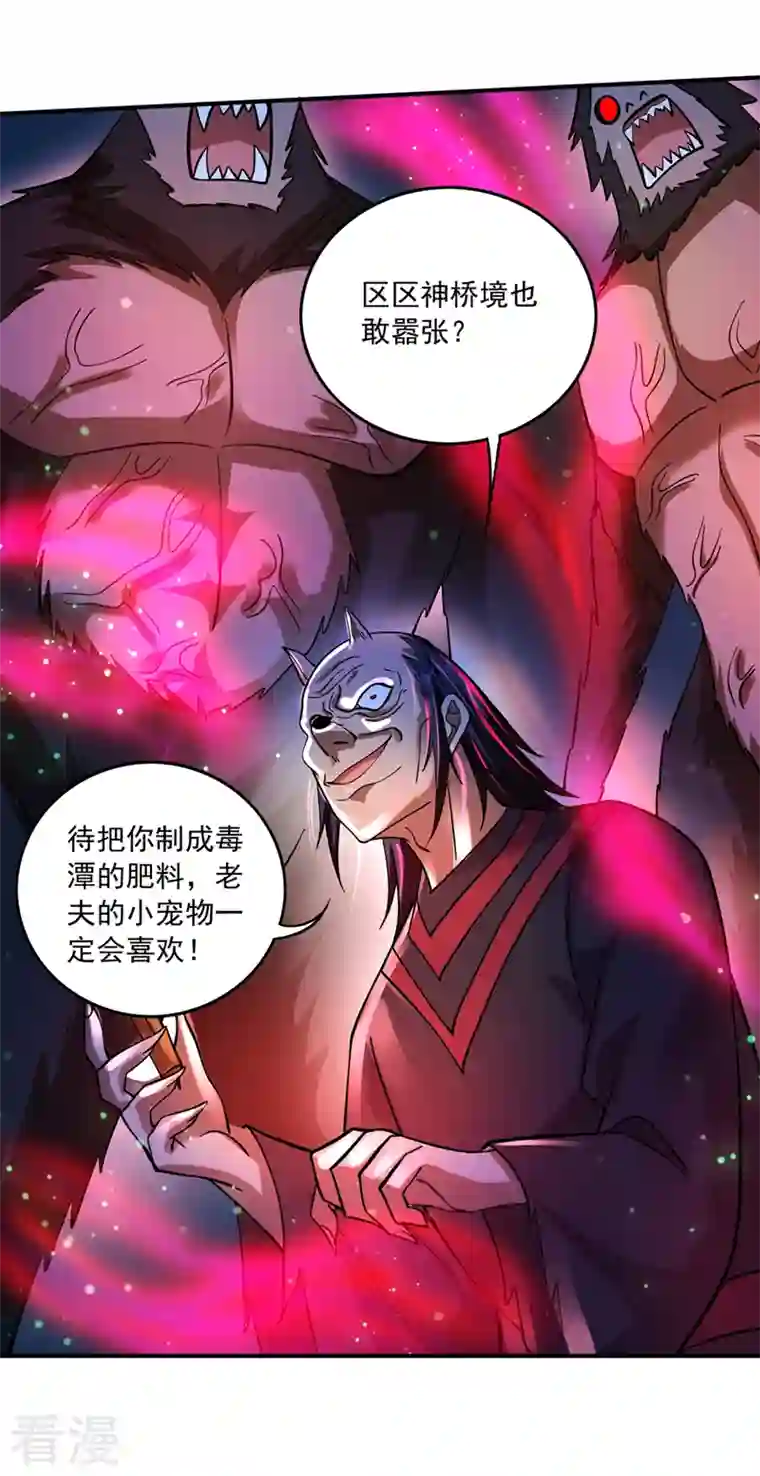 最强神医混都市第263话 禹皇的仇人