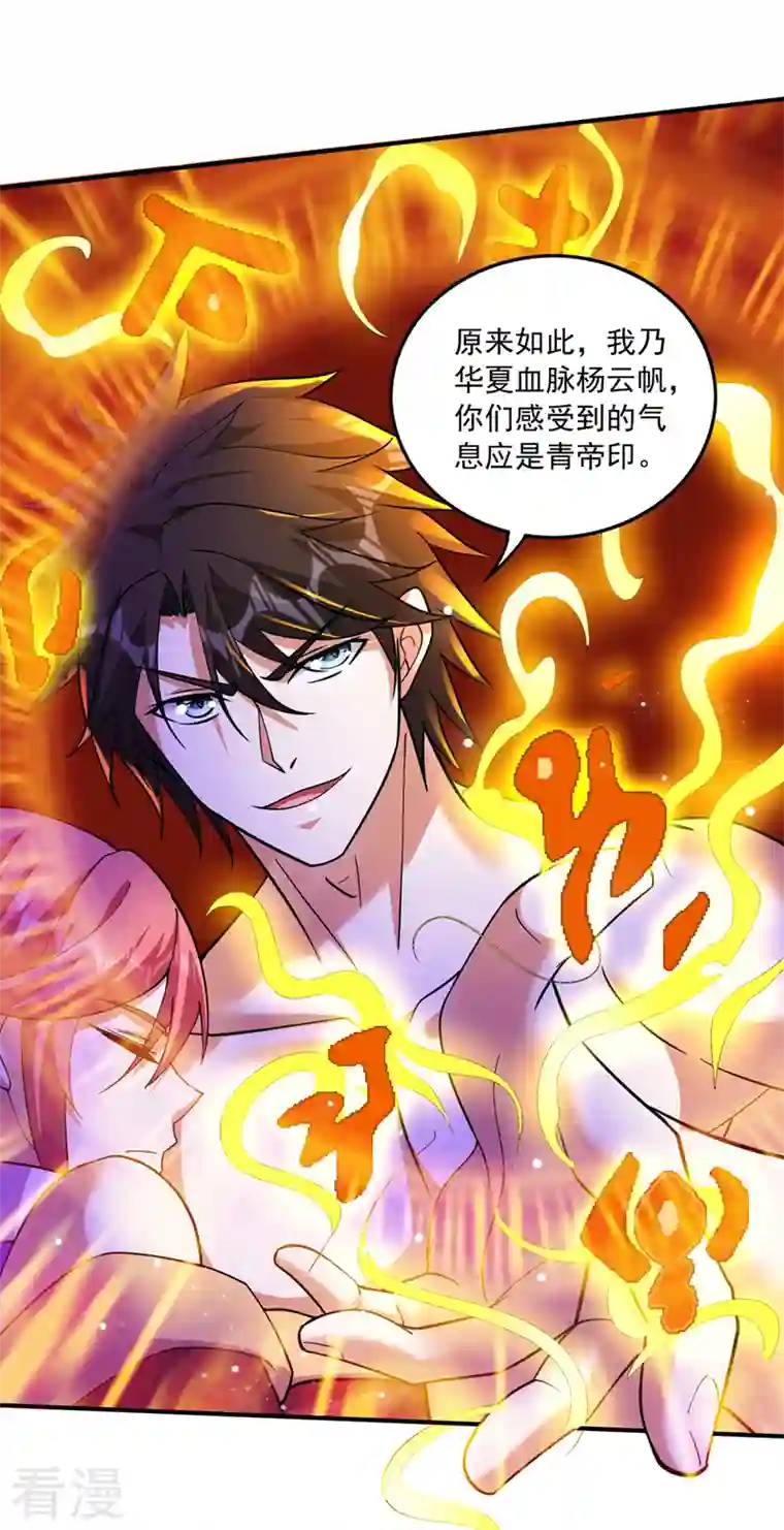 最强神医混都市第263话 禹皇的仇人