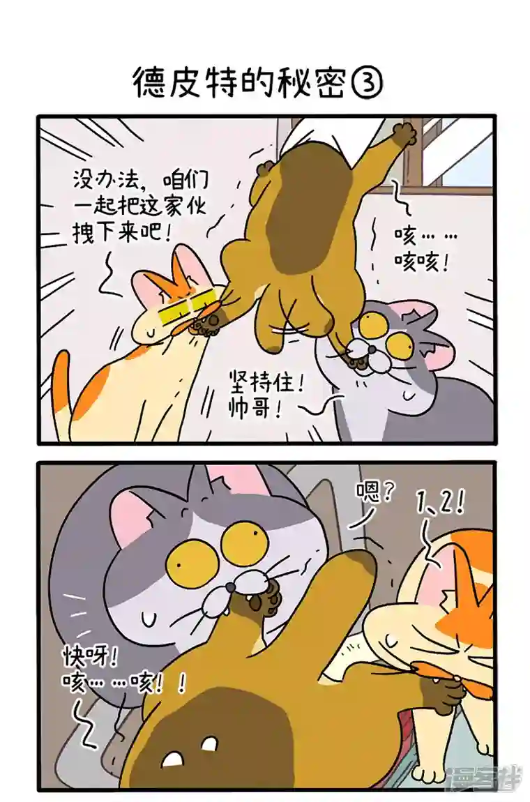 阿满和麦茶第74话1 德皮特的秘密