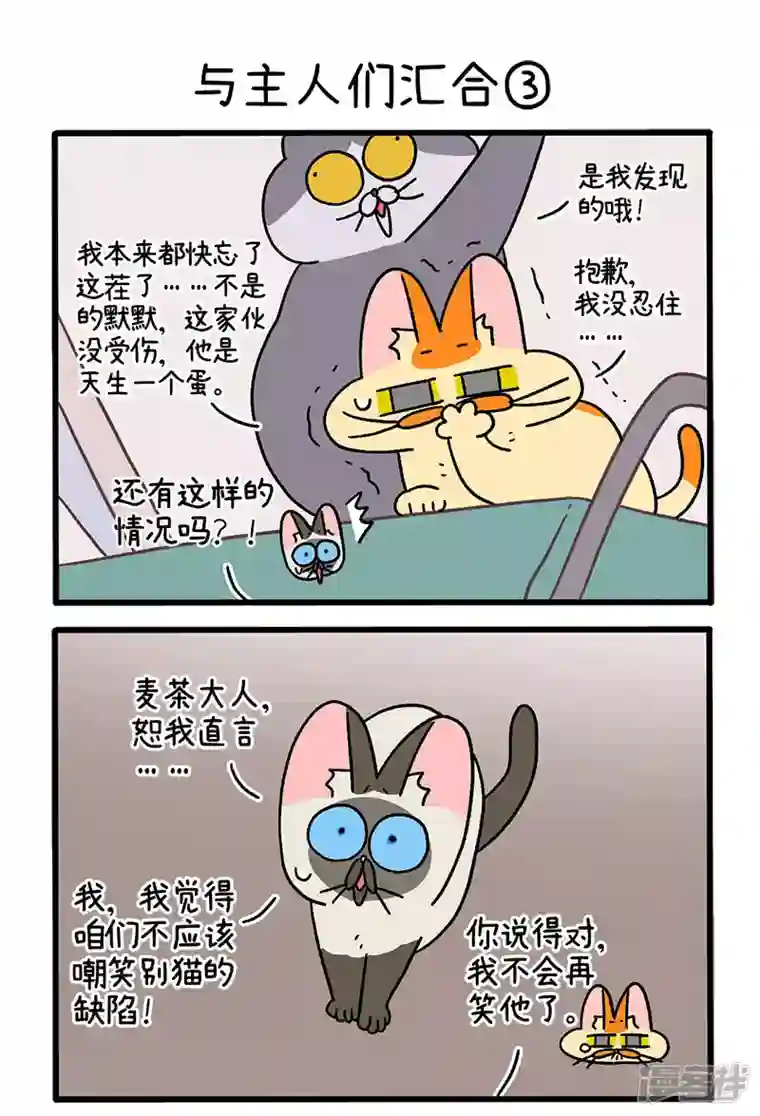 阿满和麦茶第75话1 与主人们汇合