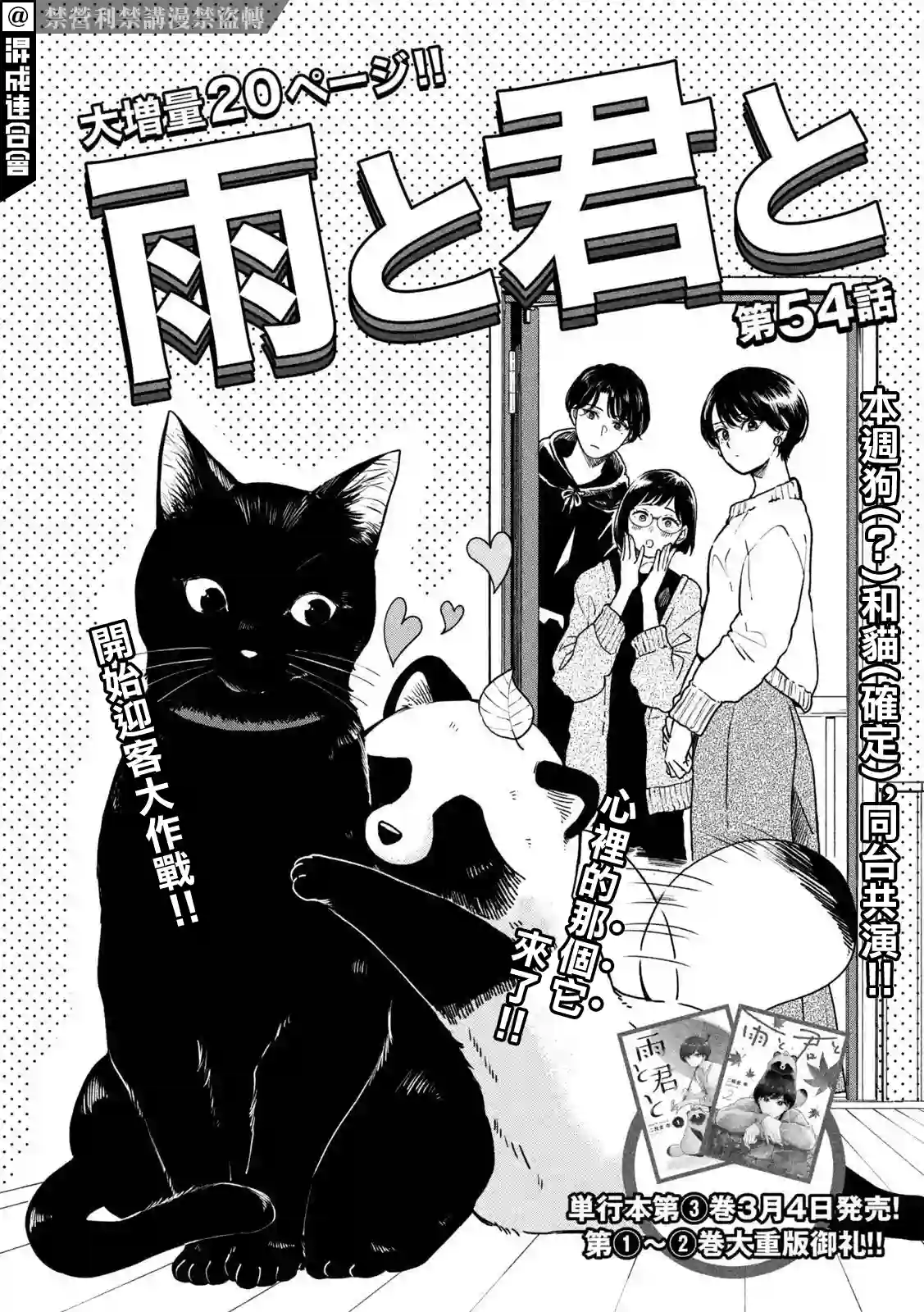 邂逅雨中貉第54话