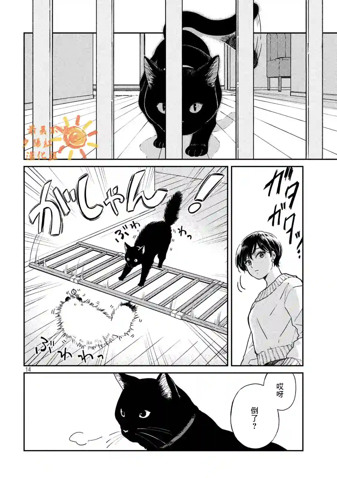 邂逅雨中貉第54话