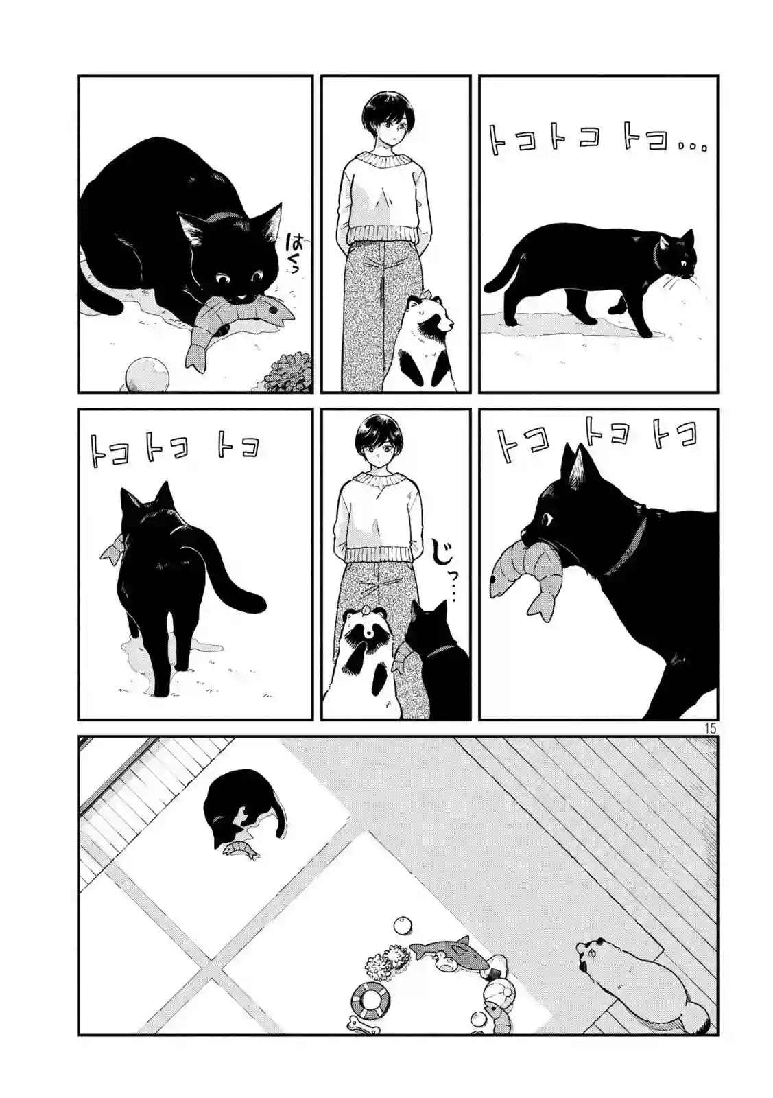 邂逅雨中貉第54话