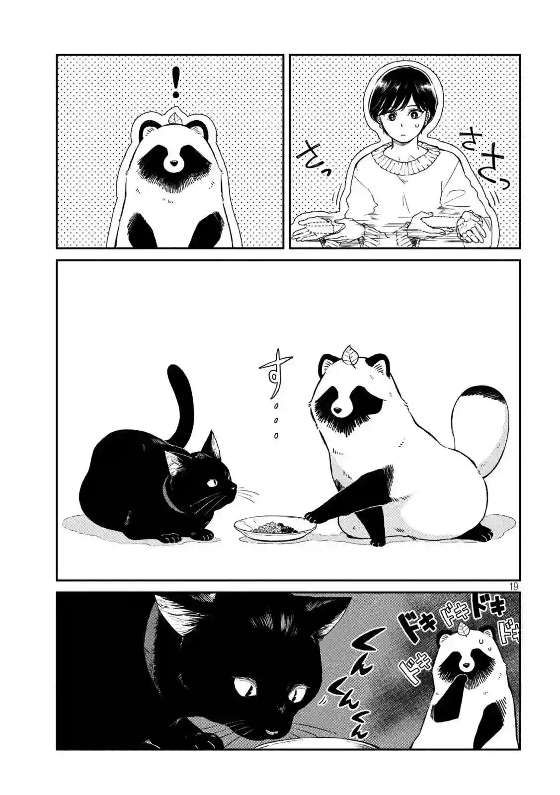 邂逅雨中貉第54话