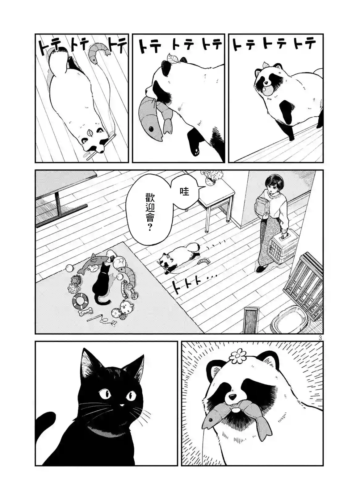 邂逅雨中貉第54话