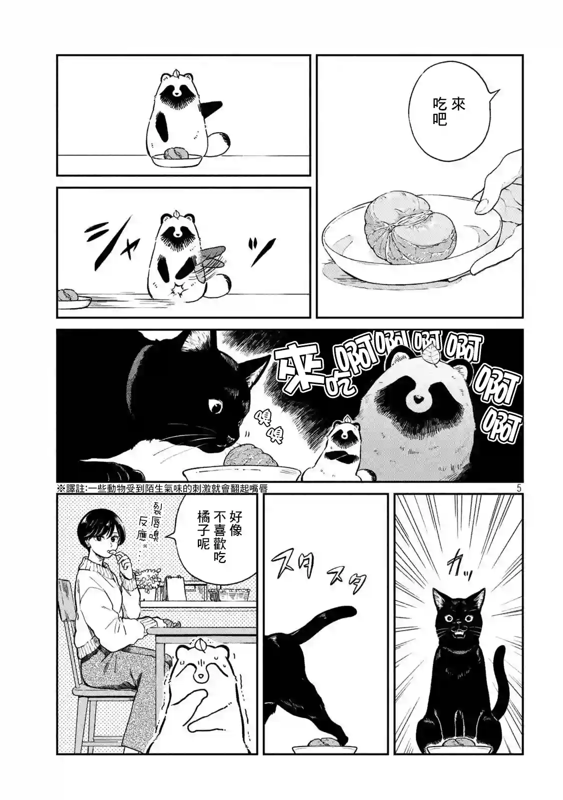 邂逅雨中貉第54话