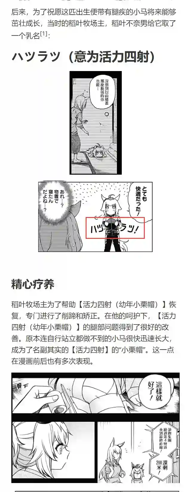 赛马娘：芦毛灰姑娘第73话