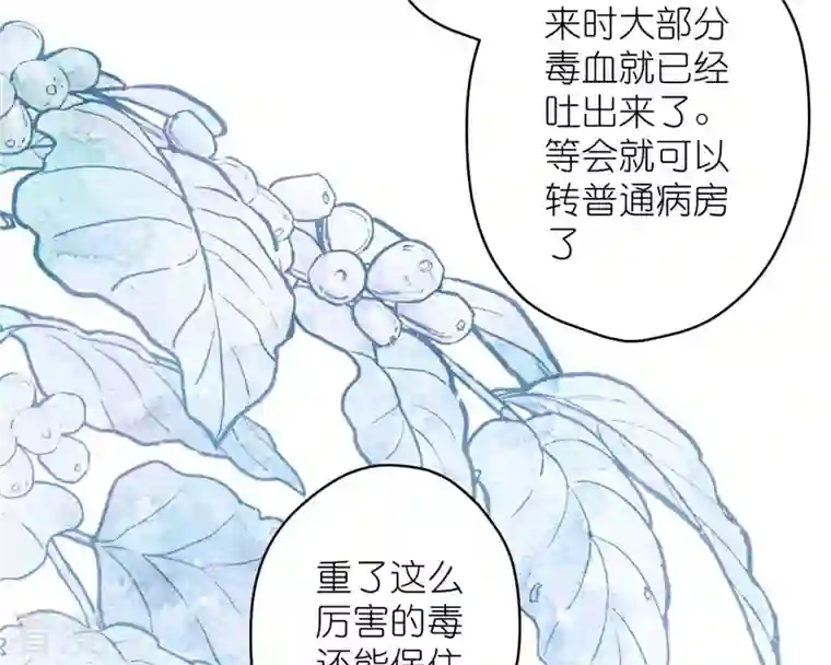 最豪赘婿 龙王殿第207话 外姓人