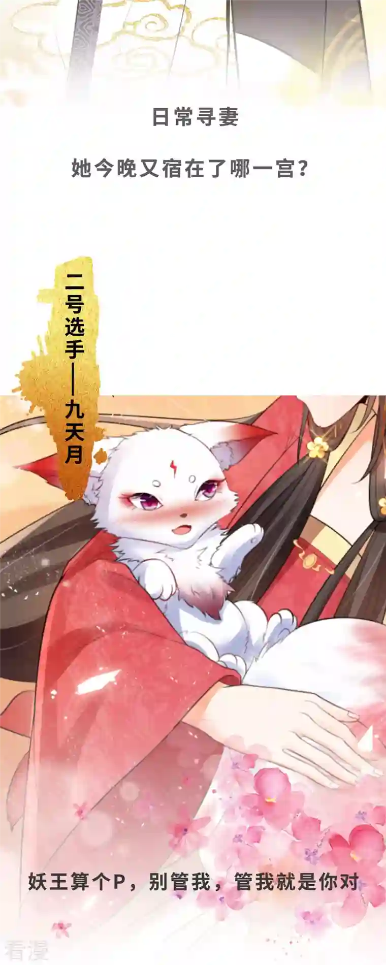 妖王的后妃都是我的预告