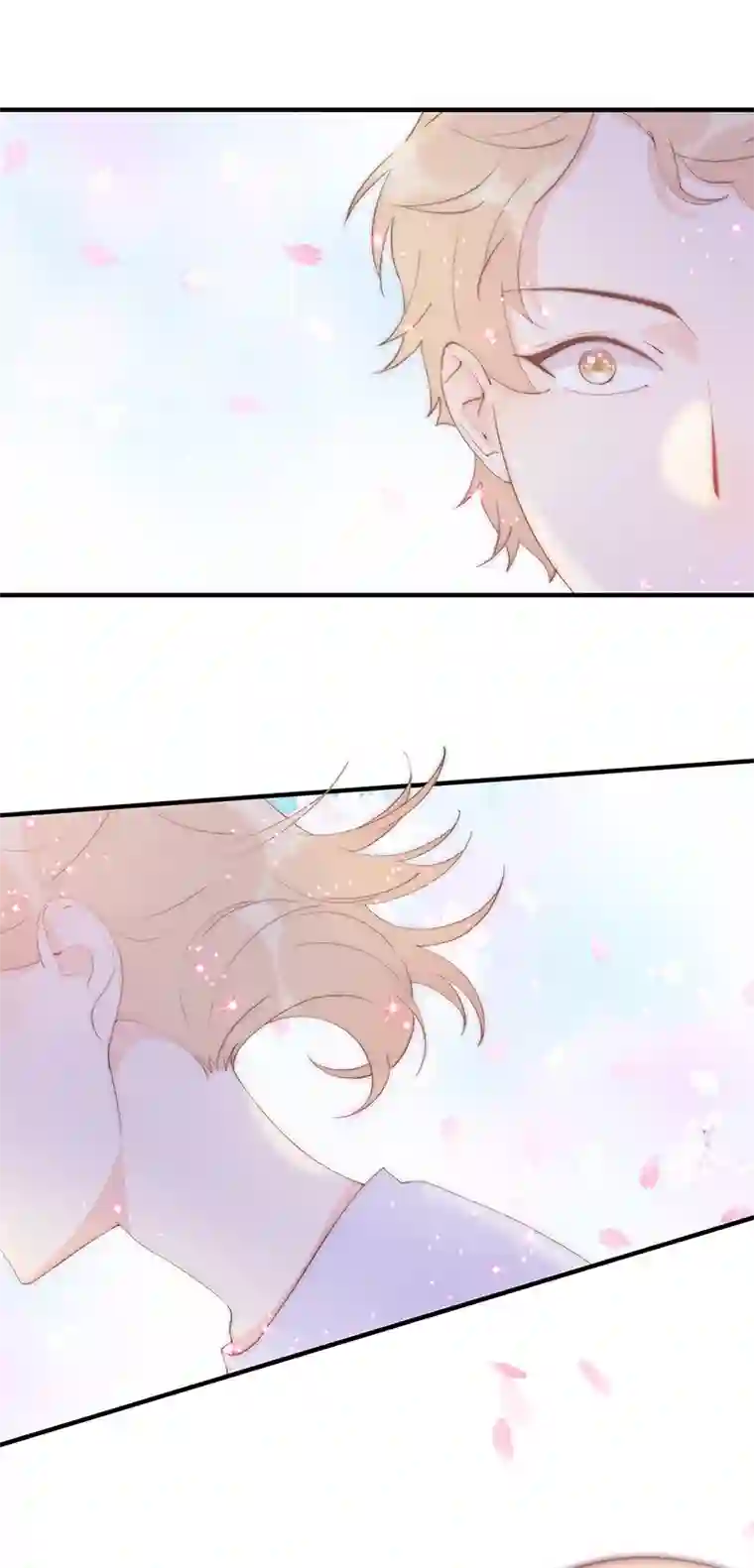 灰姑娘的陷阱甜甜的预告