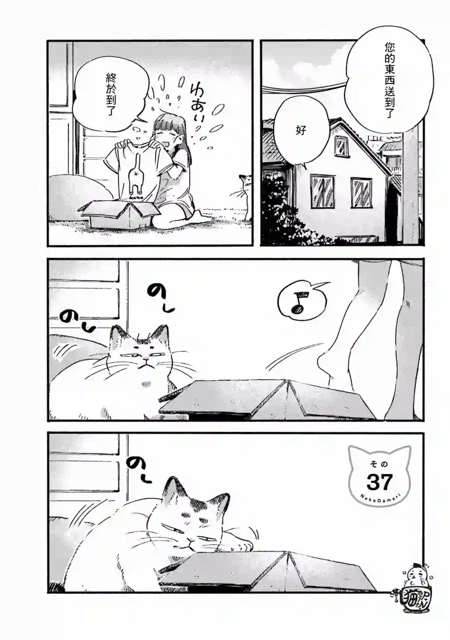 喵喵第37话