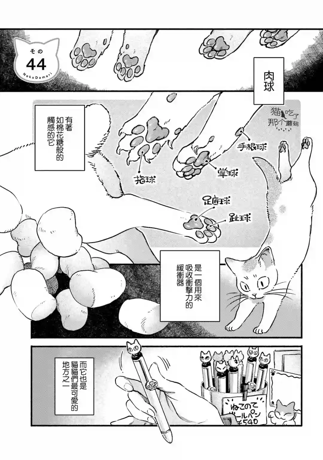 喵喵第44话
