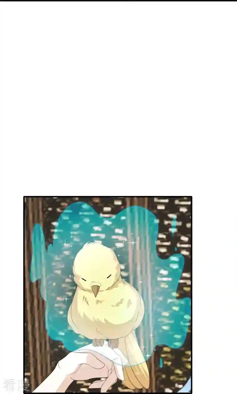 龙王追妻第44话 失踪的上官麟儿