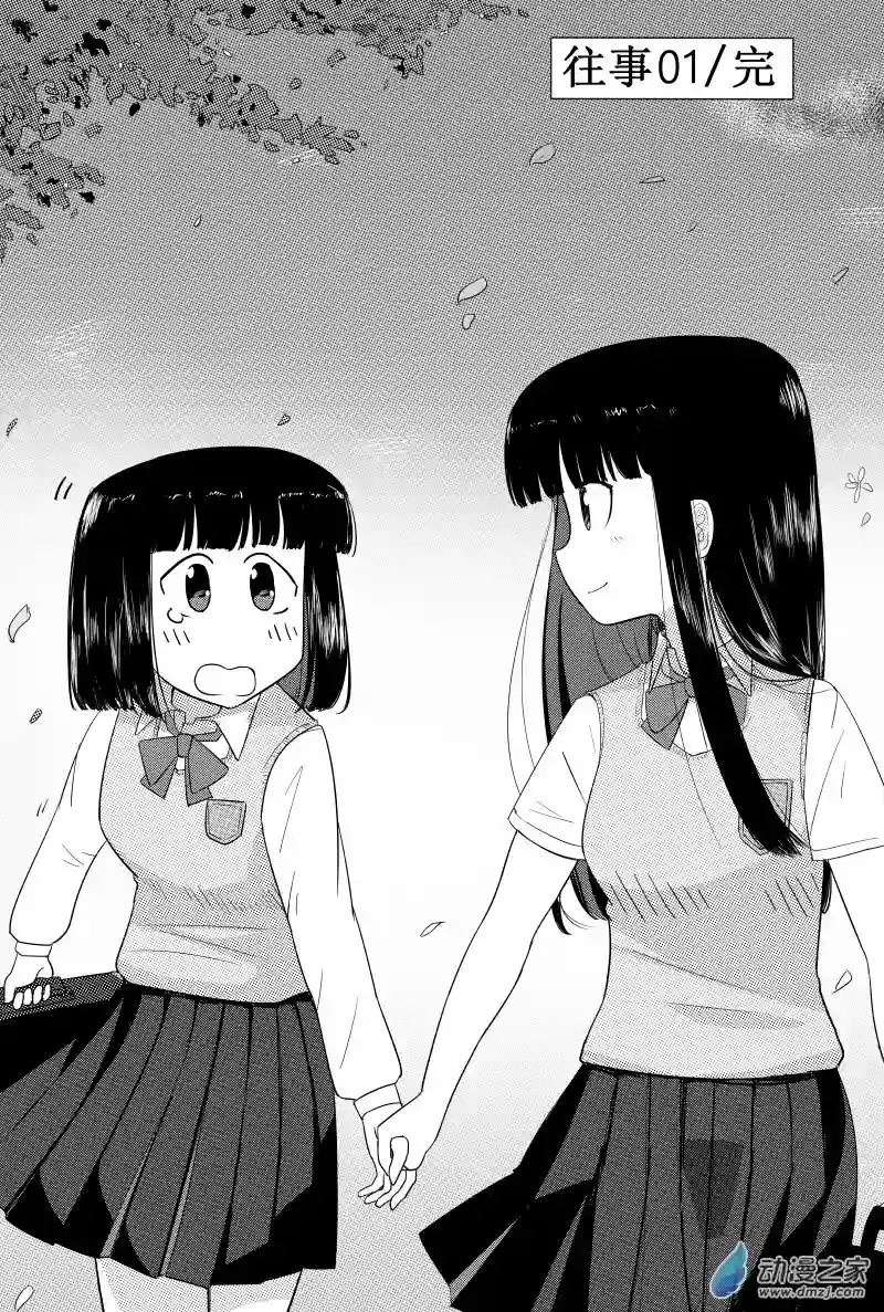 桐园中学女子足球部新封面 短篇