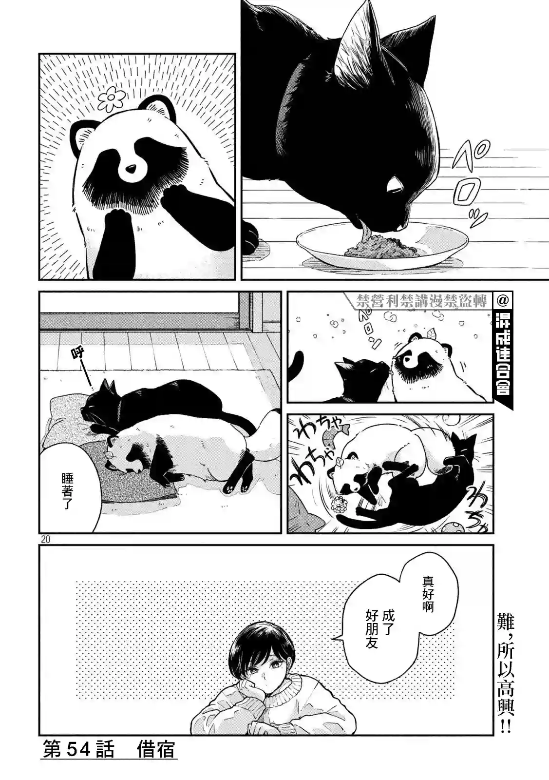 邂逅雨中貉第54话