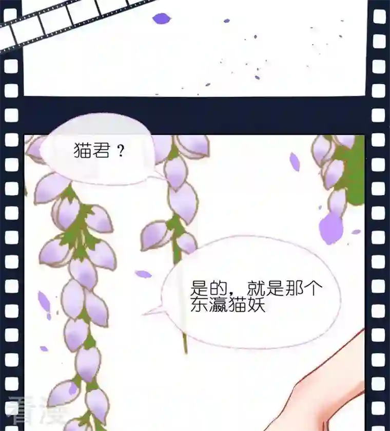 恶魔之子第8话 莉莉的动机8