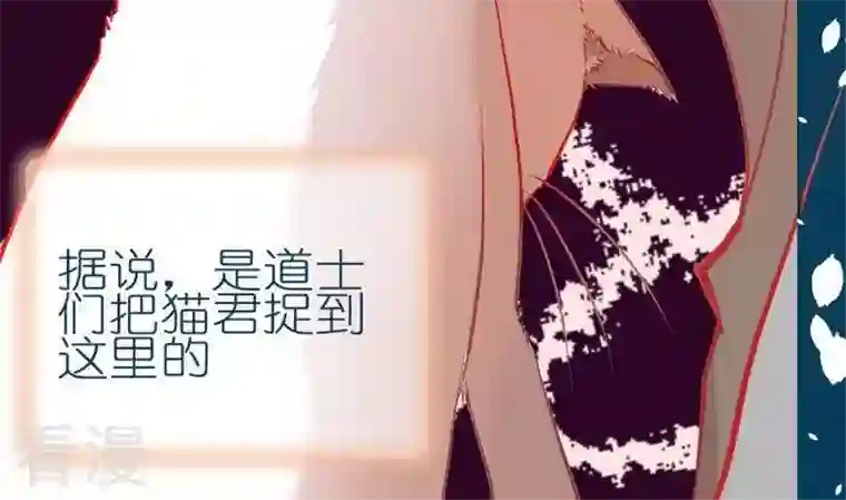 恶魔之子第9话 莉莉的动机9