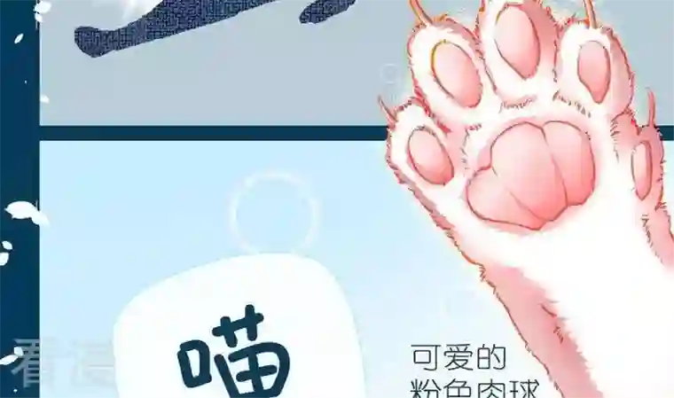 恶魔之子第9话 莉莉的动机9