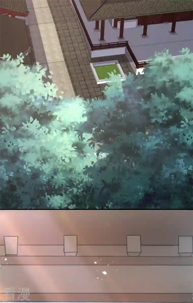 兽黑狂妃第155话 他会对玄晞做什么呢