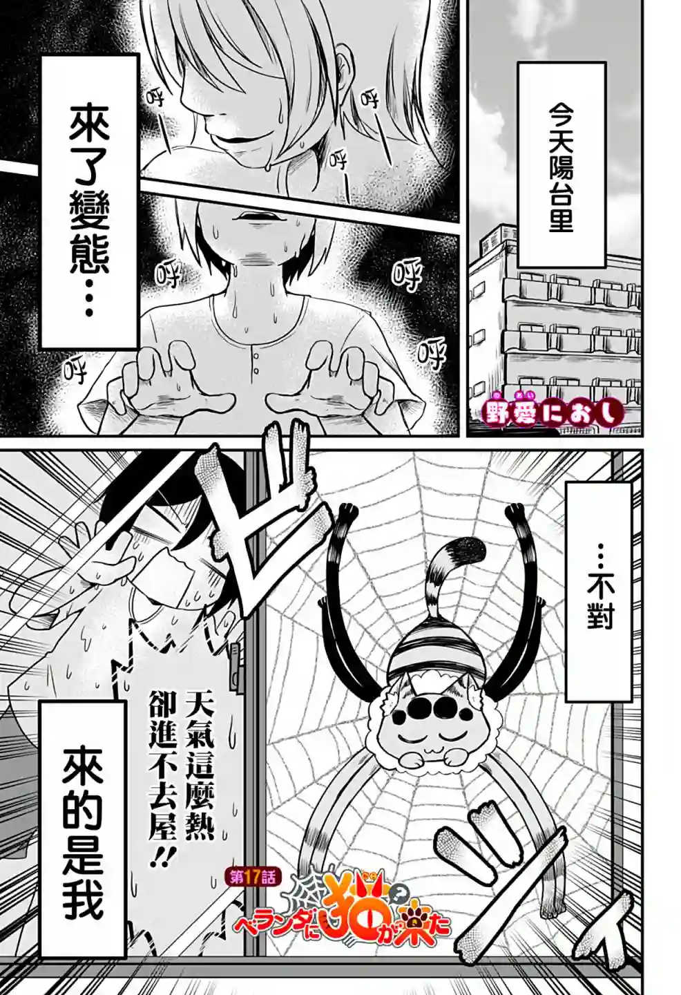 阳台里来了一蜘猫第17话