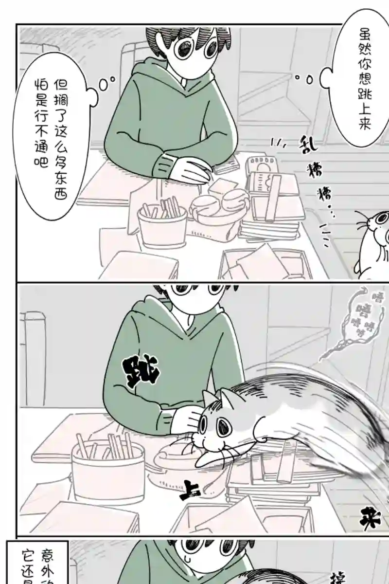 关于养猫我一直是新手第107话