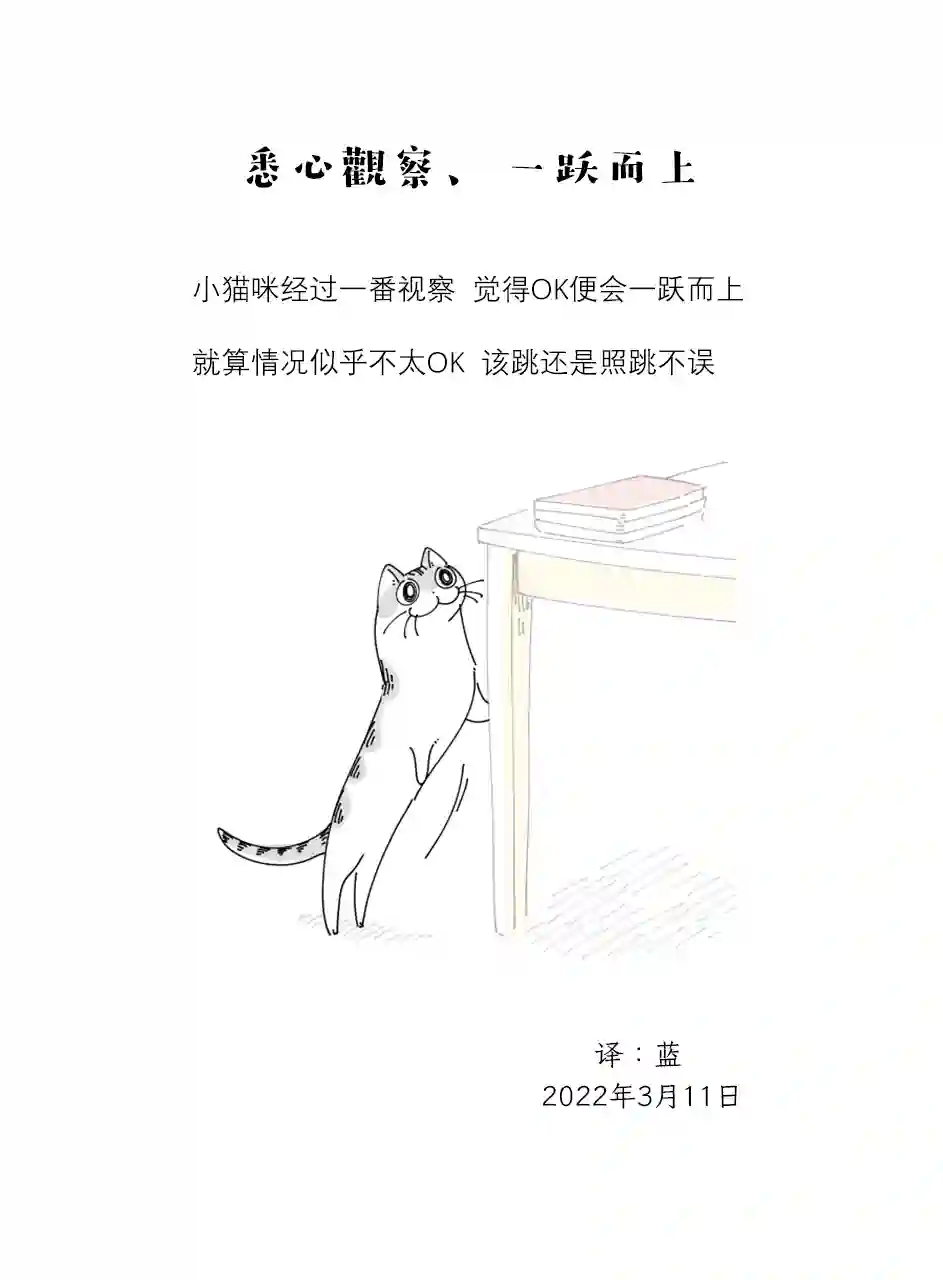 关于养猫我一直是新手第107话