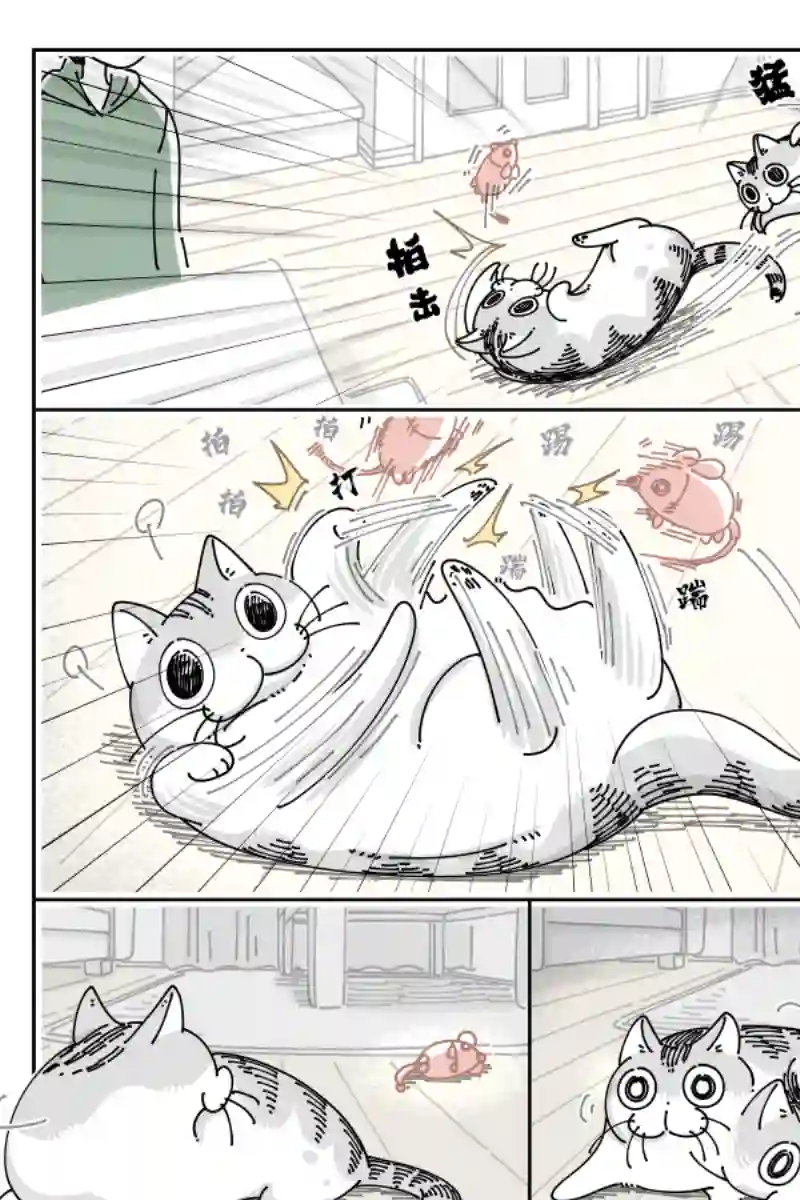 关于养猫我一直是新手第108话