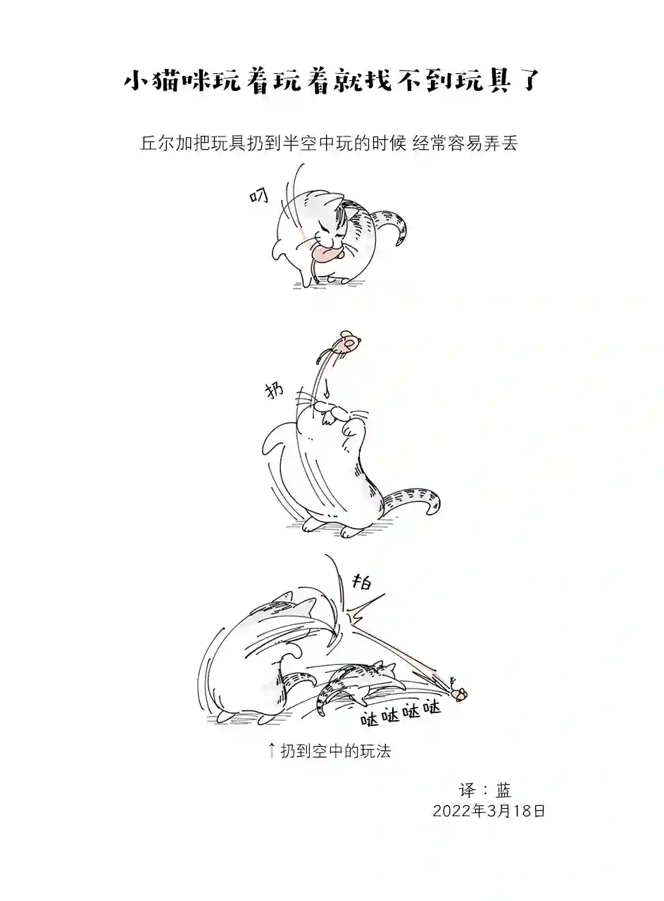 关于养猫我一直是新手第108话