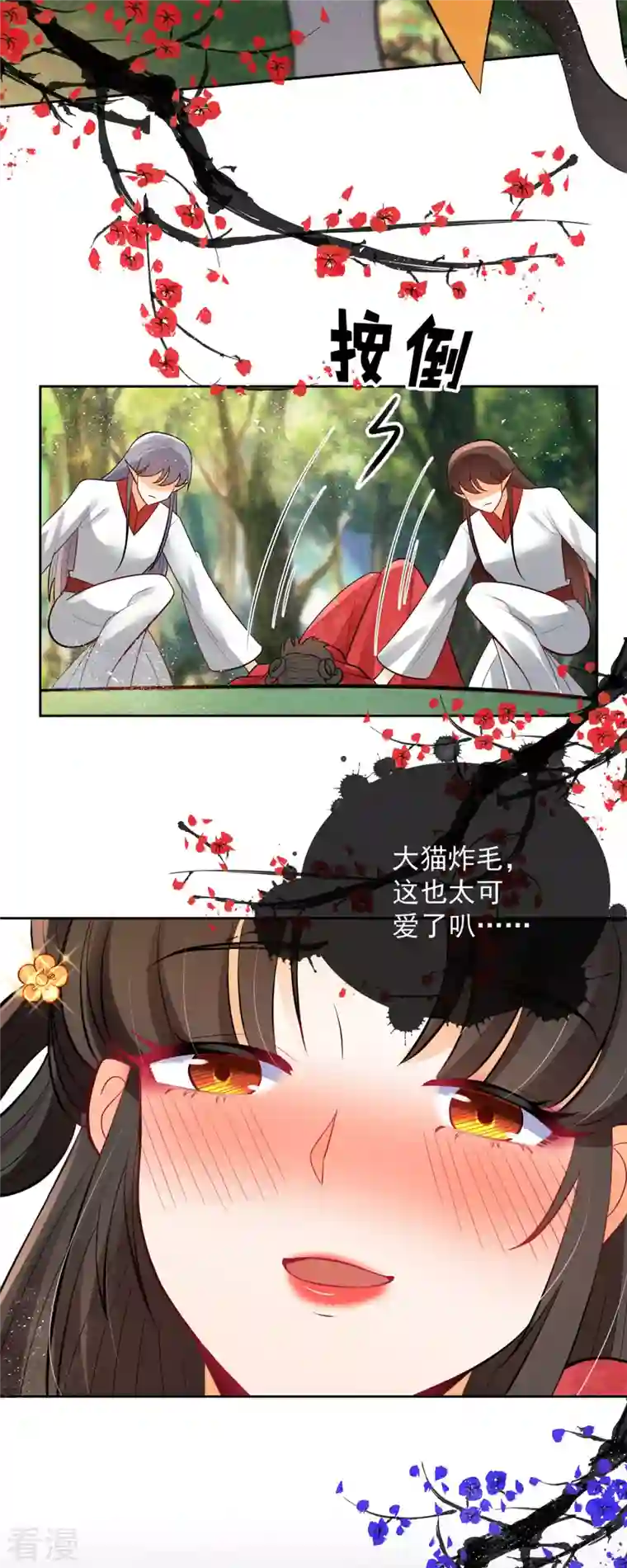 妖王的后妃都是我的第3话 救命...可爱炸毛猫猫~