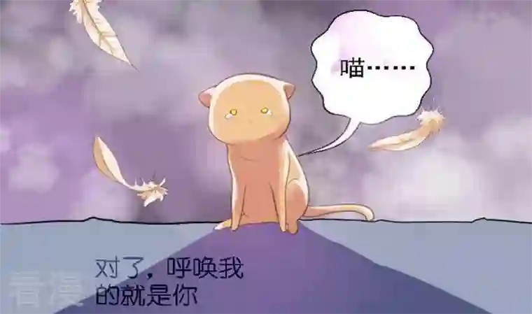 恶魔之子第46话 猫的寻找与报恩