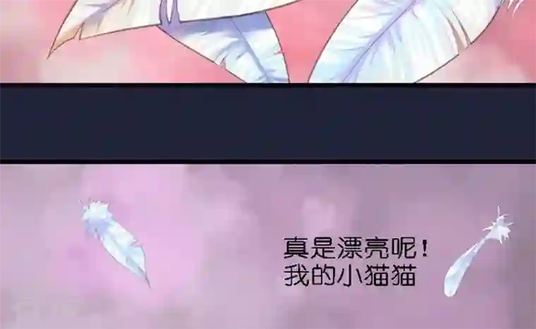 恶魔之子第46话 猫的寻找与报恩