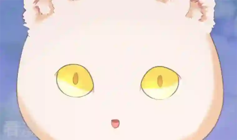 恶魔之子第46话 猫的寻找与报恩