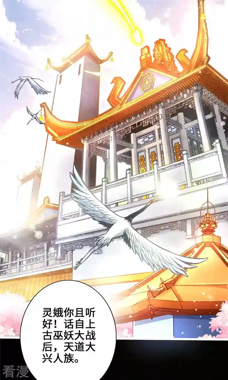 我师兄实在太稳健了第1话 初见师兄