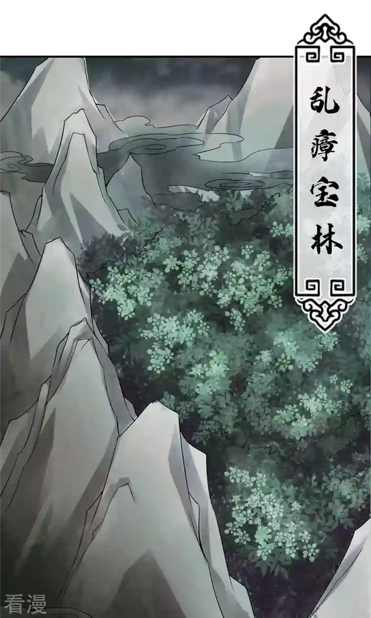 我师兄实在太稳健了第8话 乱瘴宝林
