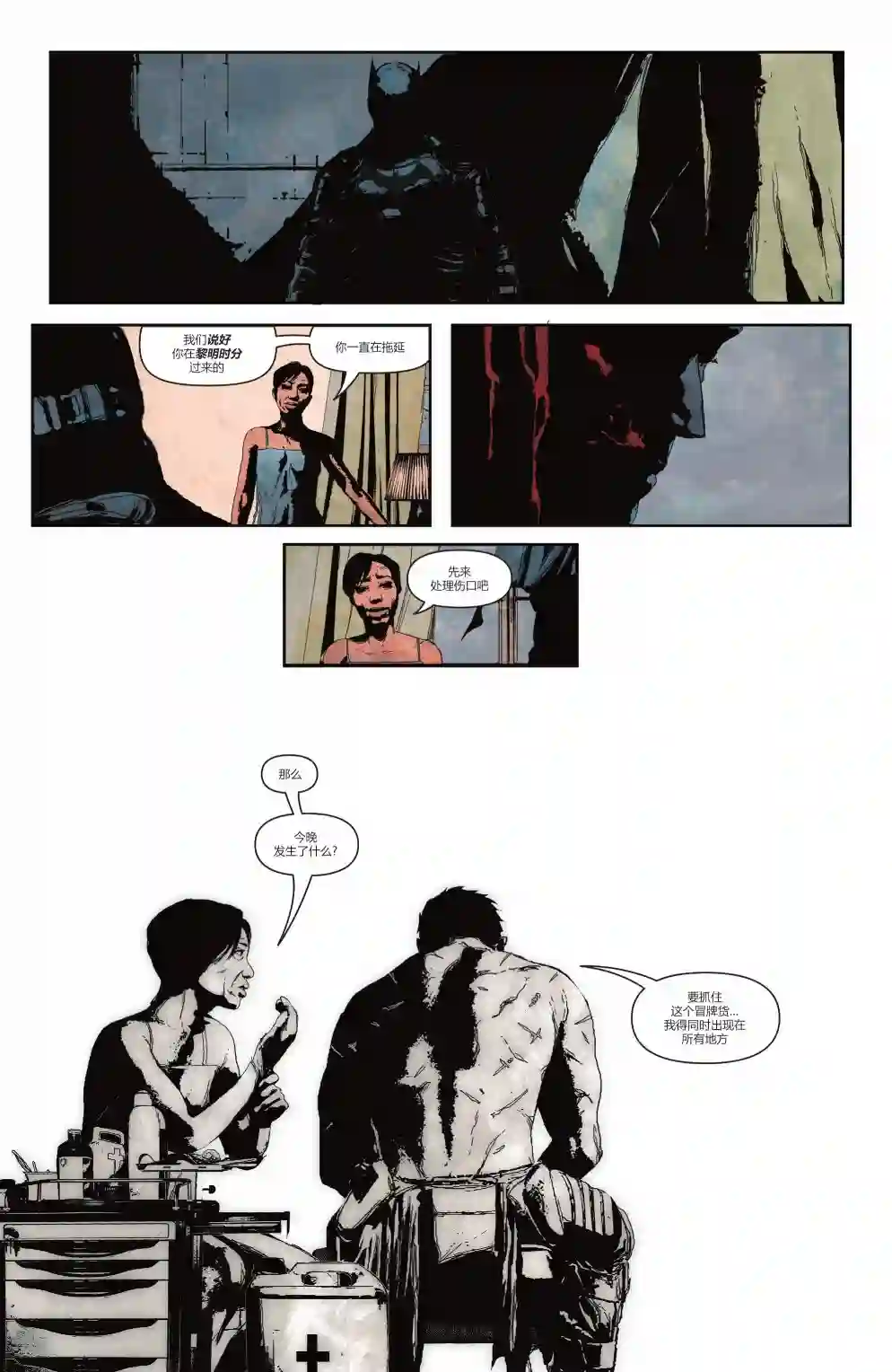 蝙蝠侠-赝品第02卷