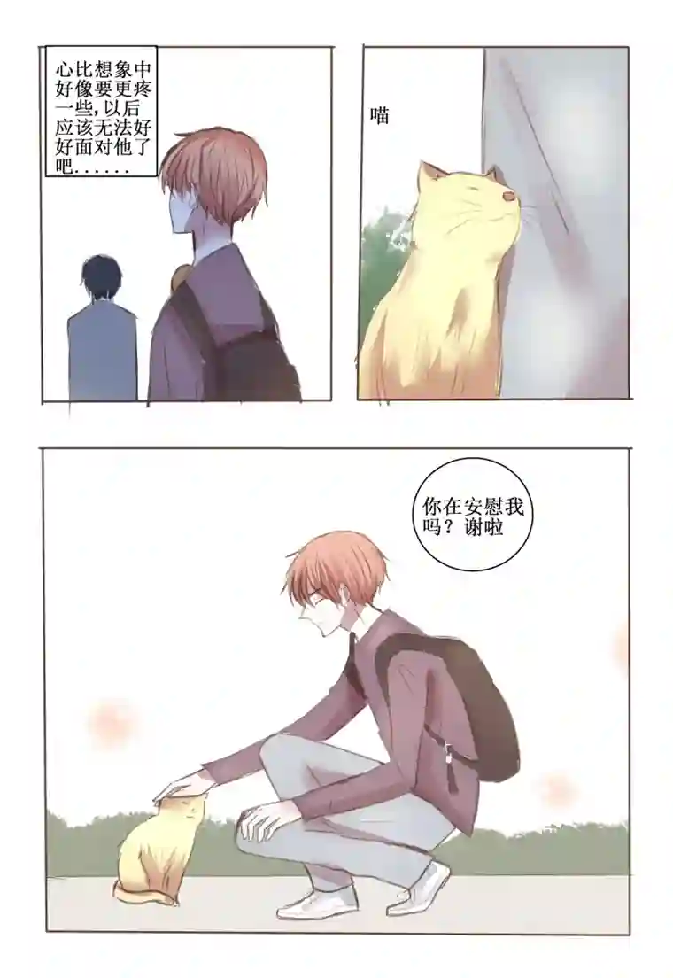 stay in summer这大概就是喜欢了吧