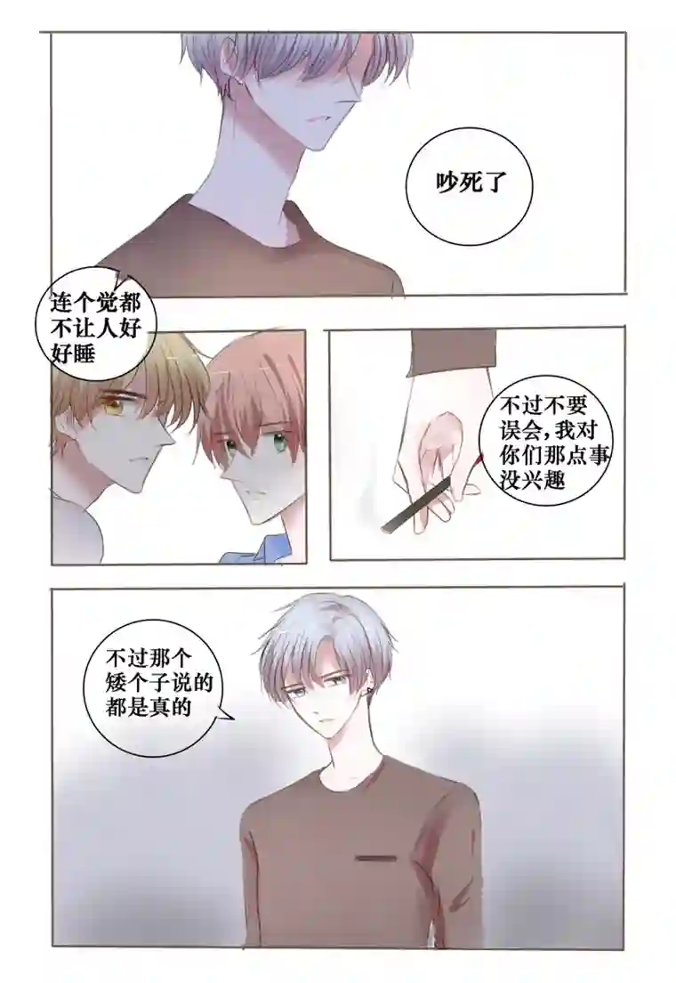 stay in summer阴影