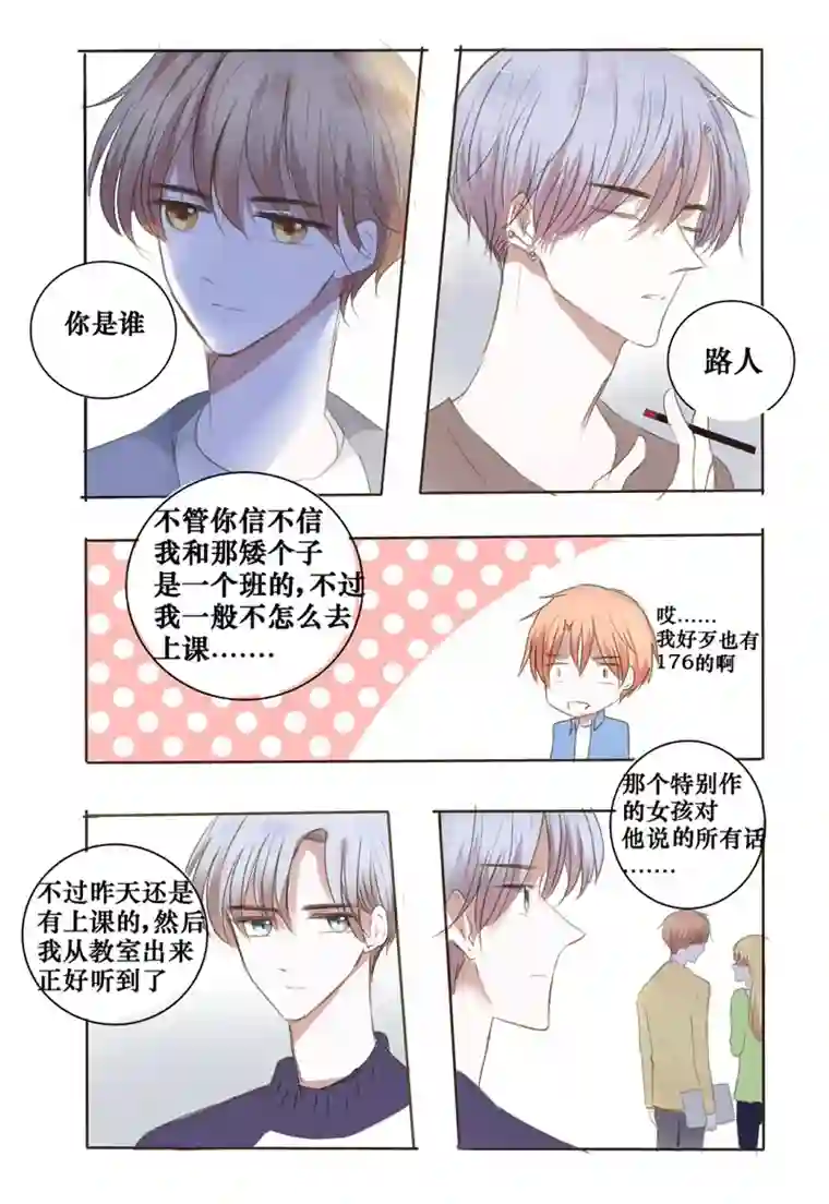 stay in summer阴影