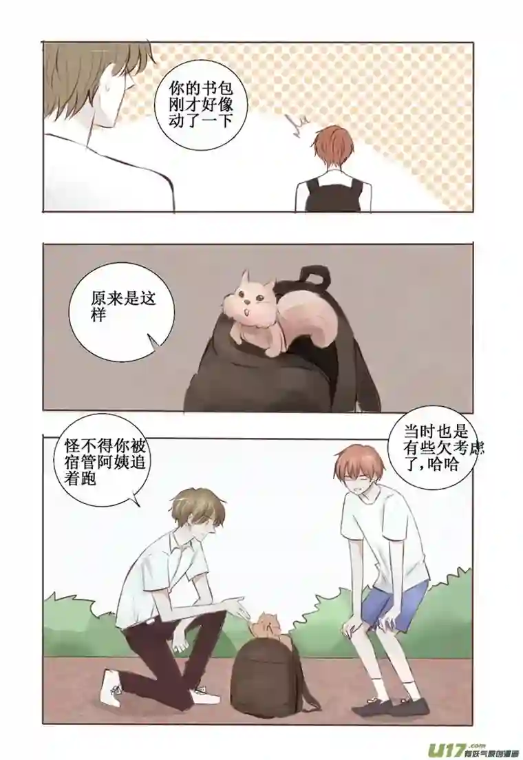 stay in summer想起你的时候总是阳光明媚