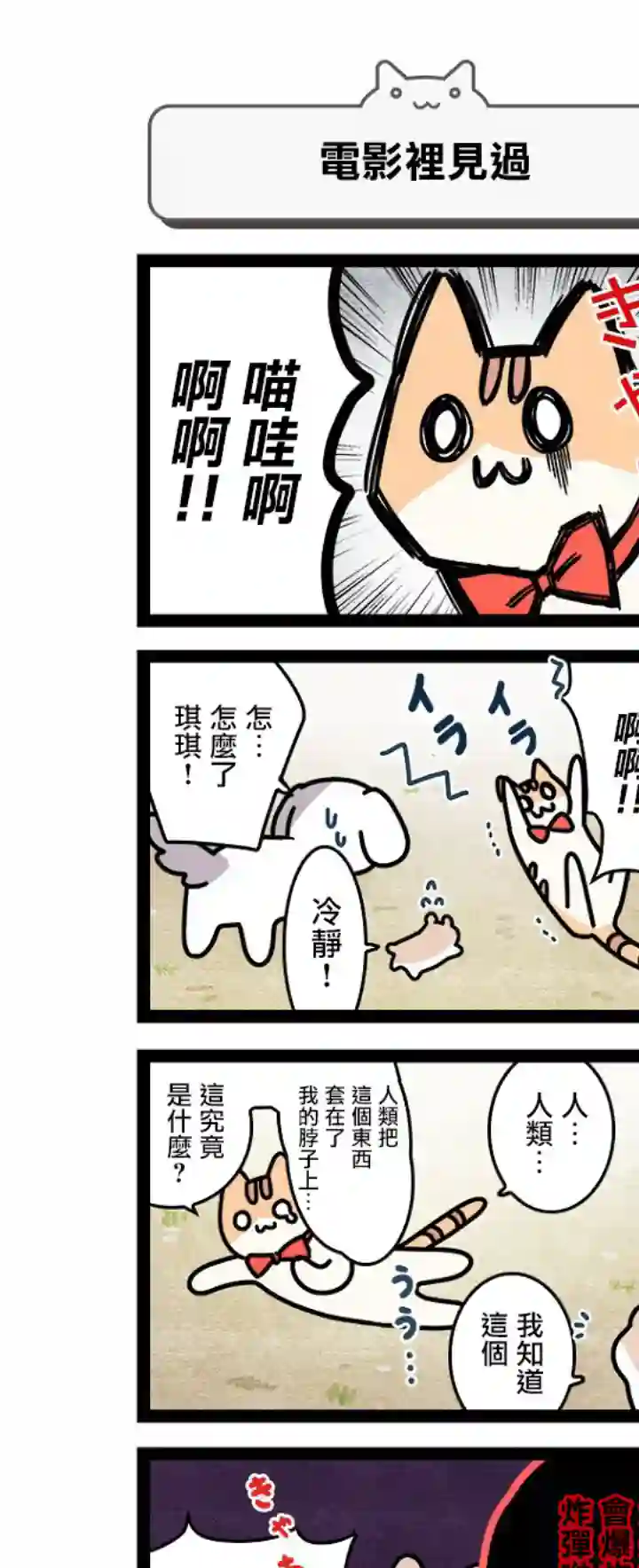 地球的主人是猫喵第02话