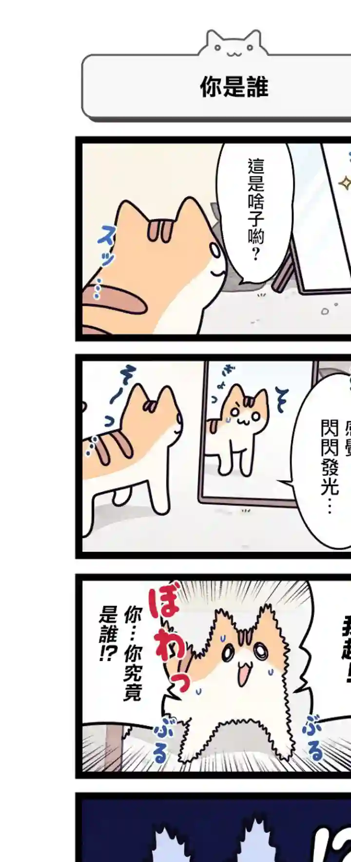 地球的主人是猫喵第05话