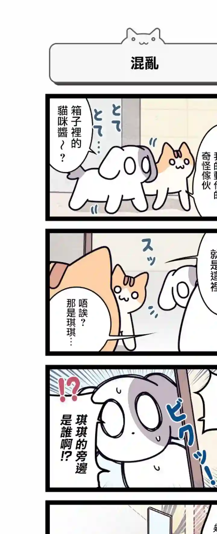 地球的主人是猫喵第05话