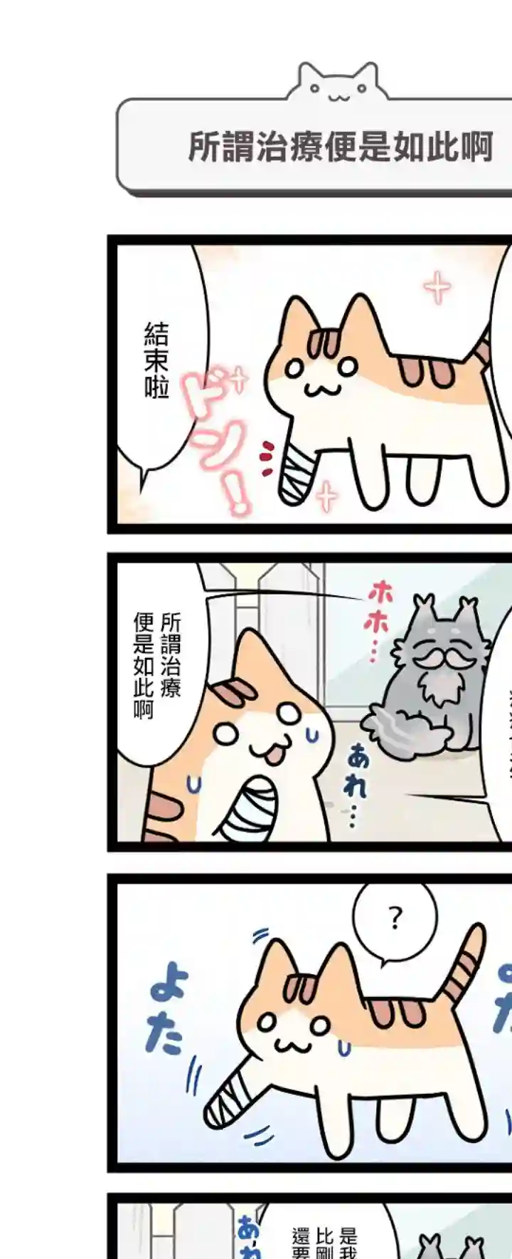 地球的主人是猫喵第09话