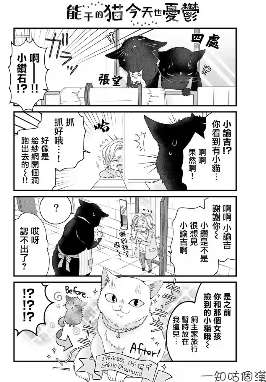 能干的猫今天也忧郁第26话
