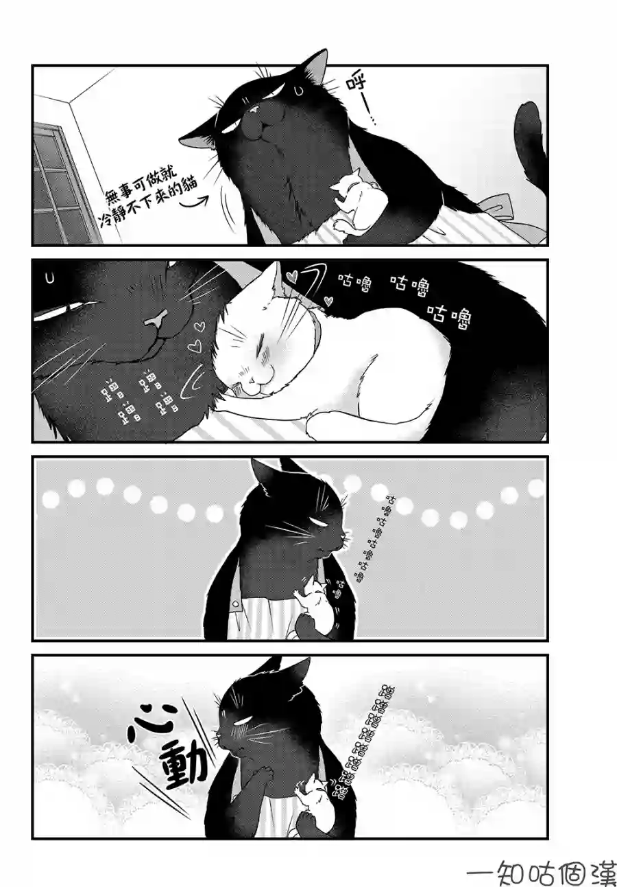 能干的猫今天也忧郁第26话