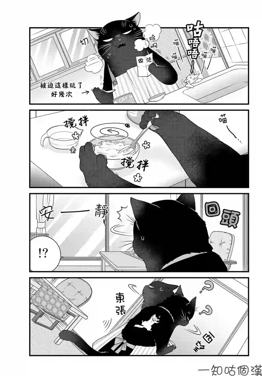 能干的猫今天也忧郁第26话