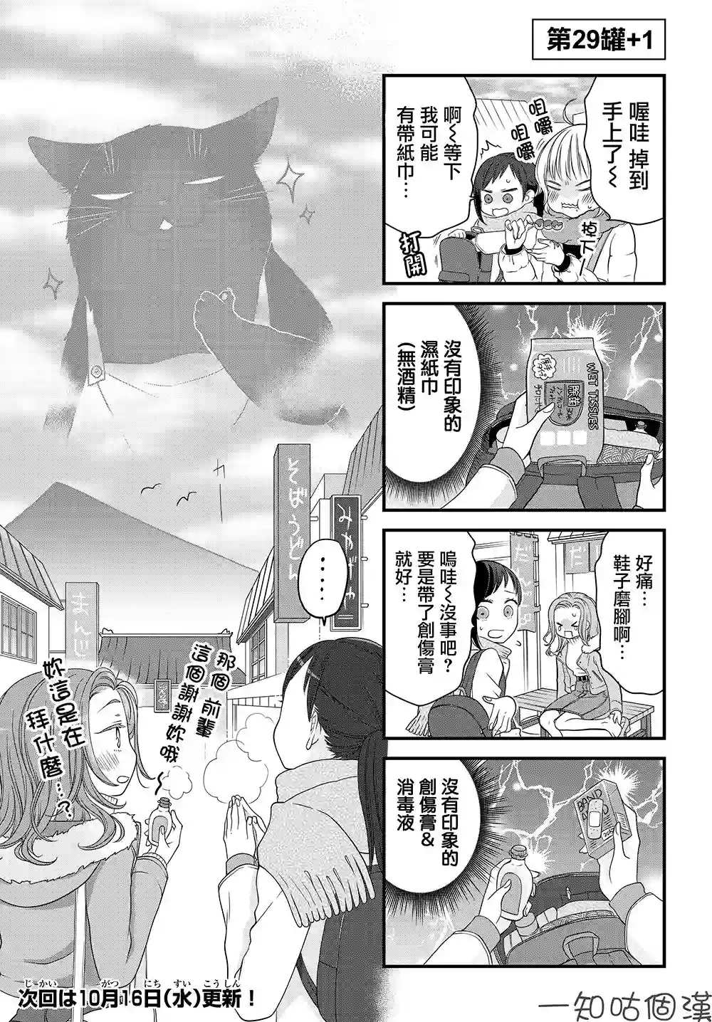 能干的猫今天也忧郁第29话