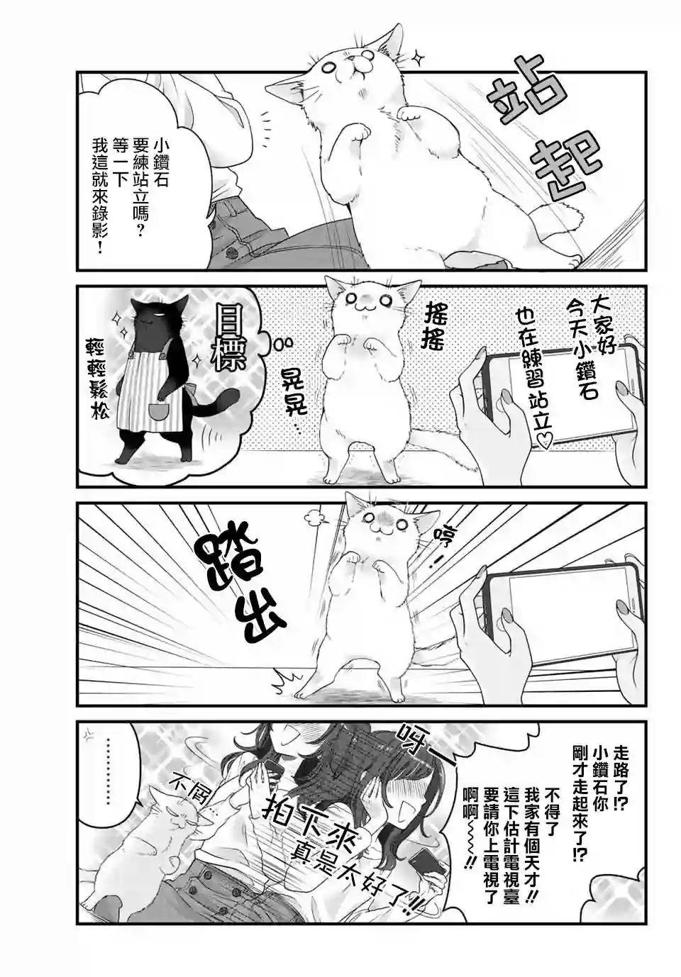 能干的猫今天也忧郁第39话