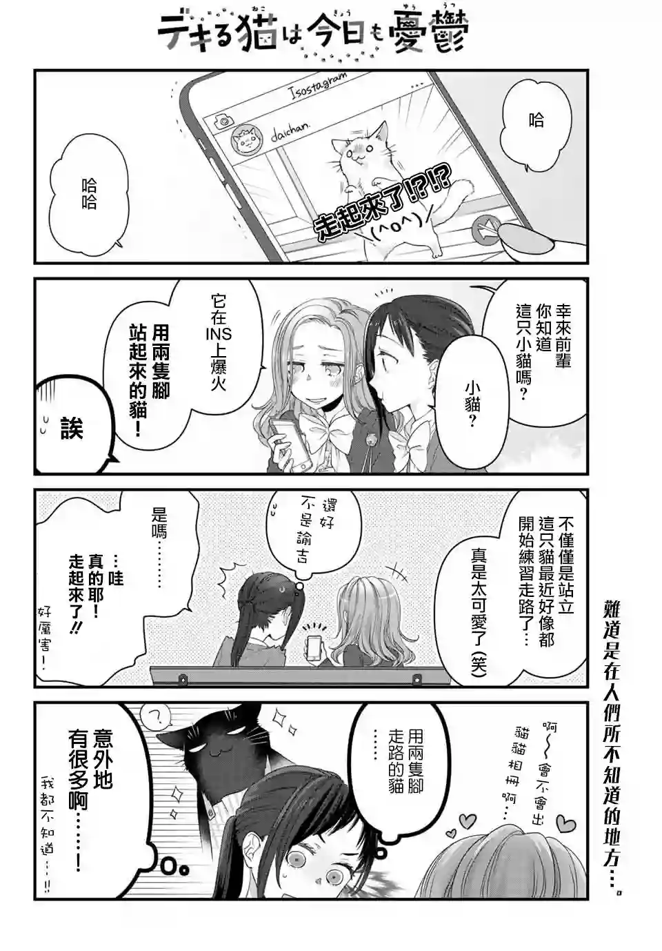 能干的猫今天也忧郁第39话