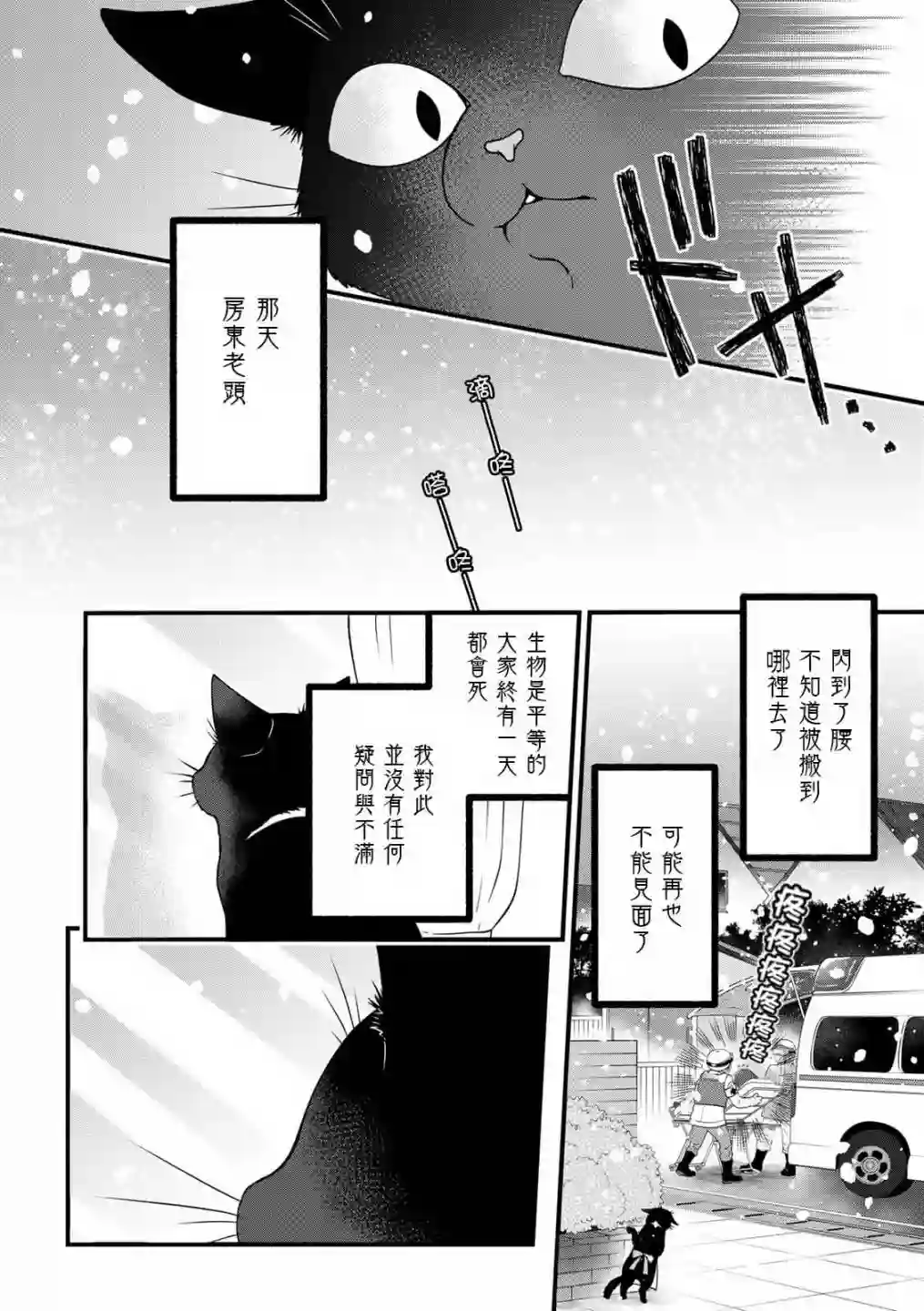 能干的猫今天也忧郁番外5